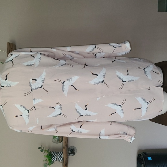 Zara Sheer Button Down - Picture 5 of 9